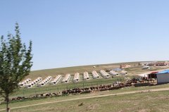 2014年首批優秀員工內蒙古大草原之旅發來照片共歡